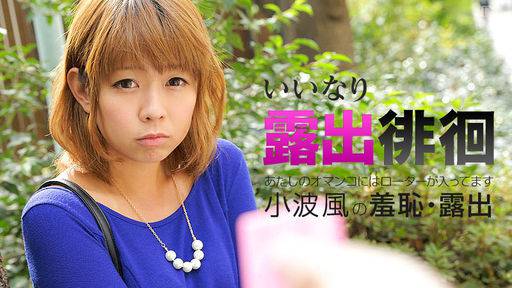 小波風 – いいなり露出徘徊 ～あたしのオマンコにはローターが入ってます～