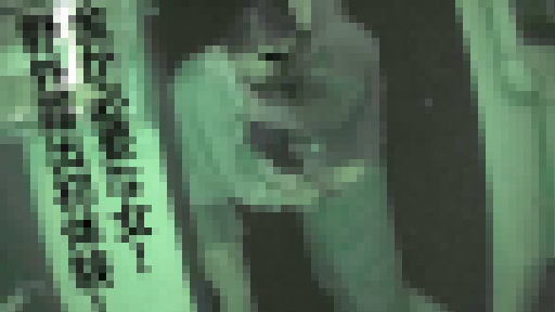 田辺まなみ – 金が必要な女！野外露出初体験！戸惑いながらも路地裏で裸体をくねらせオマンコを濡らしフェラ中に目撃者出現！！！