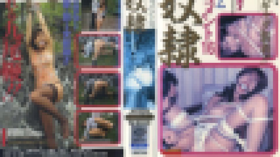 ＳＭドキュメント１６　轡奴隷　小泉かをる