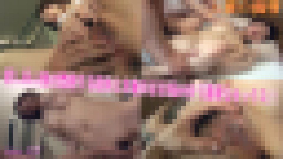 人妻の痴情　ren 25歳　ren