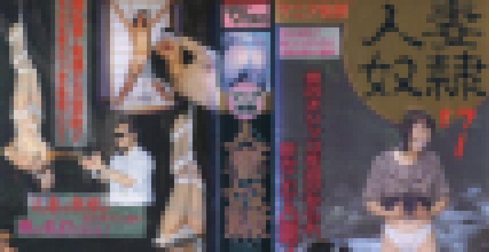 マニア秘録 人妻奴隷VOL7 中尾 光子