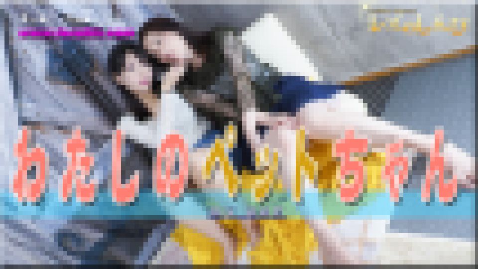 わたしのペットちゃん?しずかさんとみつかちゃん?1　しずか みつか